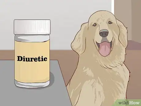 Image titled Treat Cardiac Disease in Older Dogs Step 3