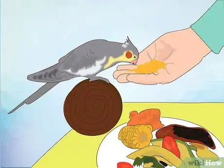 Image titled Feed Cockatiels Step 6