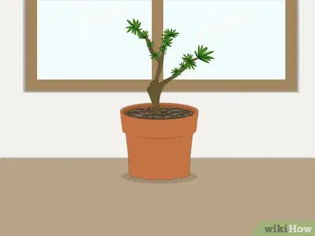 Image titled Propagate Azaleas Step 26