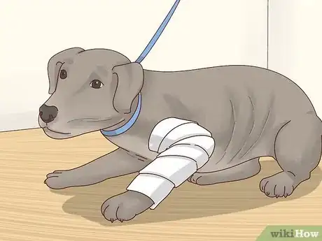 Image titled Recognize Signs of Anxiety in Dogs Step 5