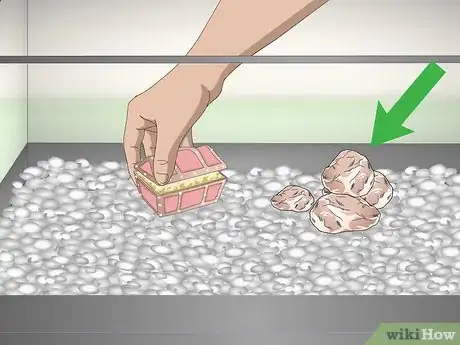 Image titled Care for Fancy Goldfish Step 3