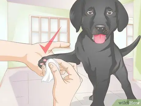 Image titled Shower a Puppy Step 16