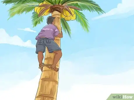 Image titled Harvest a Coconut Step 10