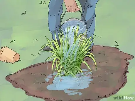 Image titled Plant Landscape Grasses Step 17