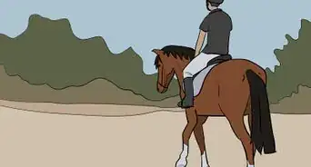 Avoid Falling off a Horse