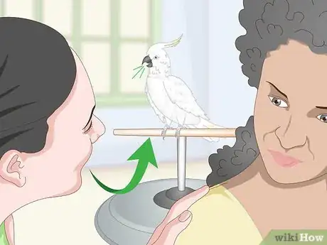 Image titled Choose a Cockatoo Step 1