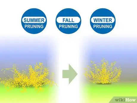 Image titled Prune Forsythia Step 02