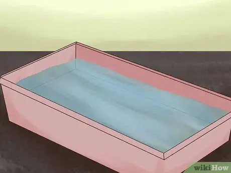 Image titled Bathe a Russian Tortoise Step 1