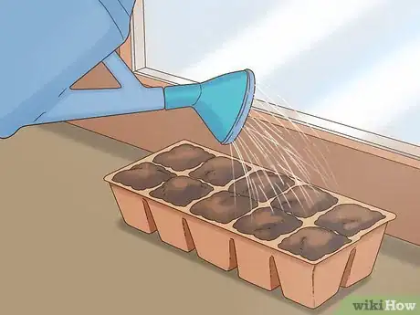 Image titled Grow Dichondra Step 7