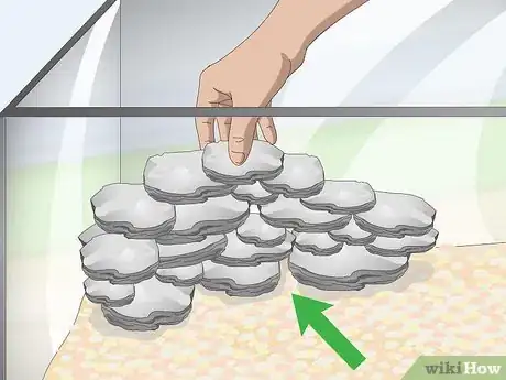 Image titled Care for Mbuna Cichlids Step 3