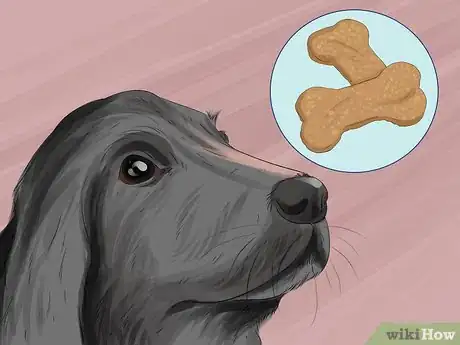 Image titled Keep Your Pets Safe in Winter Step 17