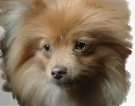 Image titled Details added split screen.png