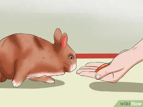 Image titled Care for Thrianta Rabbits Step 16