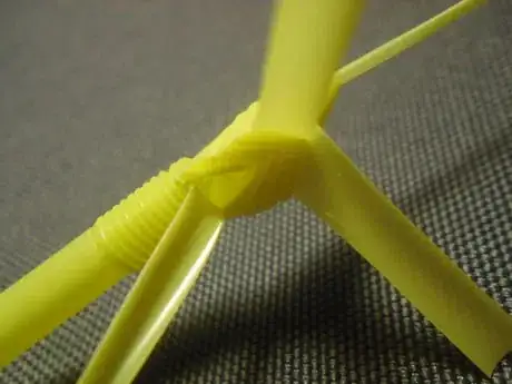 Image titled Shachi26_268.JPG