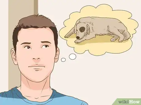 Image titled Manage Cognitive Dysfunction in Senior Dogs Step 12
