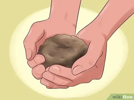 Image titled Plant and Care for a Ranunculus Step 2