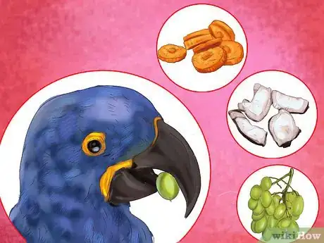 Image titled Care for a Hyacinth Macaw Step 10