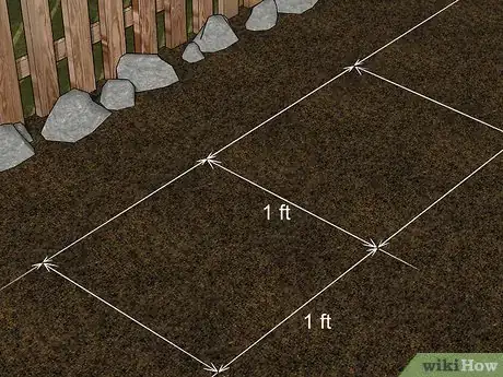 Image titled Grow African Daisy (Arctotis) Step 7