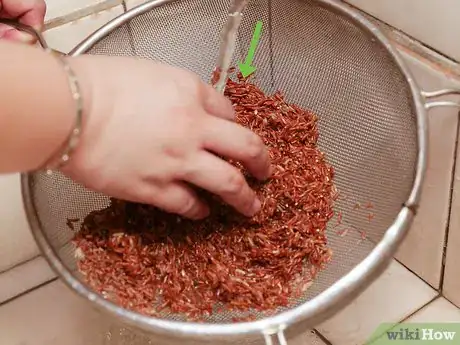Image titled Cook Wild Rice Step 13