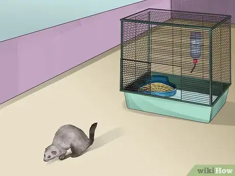 Image titled Care for a Ferret Step 12