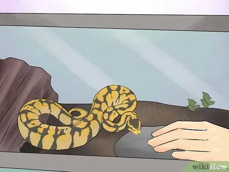 Image titled Hold a Snake Step 2