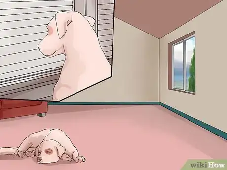 Image titled Prevent Dog Flu Step 6