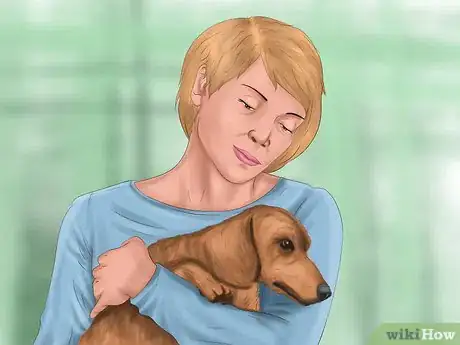 Image titled Pick a Healthy Adult Dog Step 11