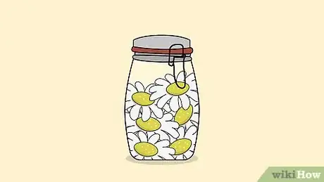 Image titled Grow Chamomile Step 26