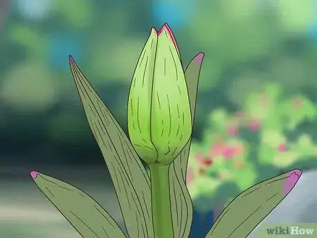 Image titled Buy Potted Flowers Step 8