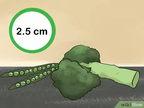 Image titled Set a Routine for Your Hamster Step 7