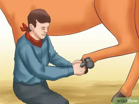 Image titled Buy Your First Horse Step 3