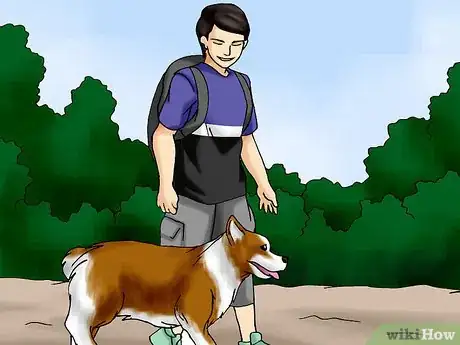 Image titled Hike with Your Hound Step 4