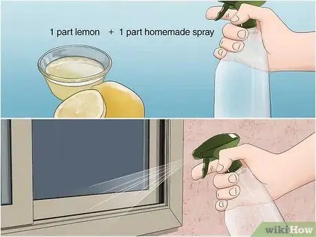 Image titled Keep False Widow Spiders Out of Your House Step 9