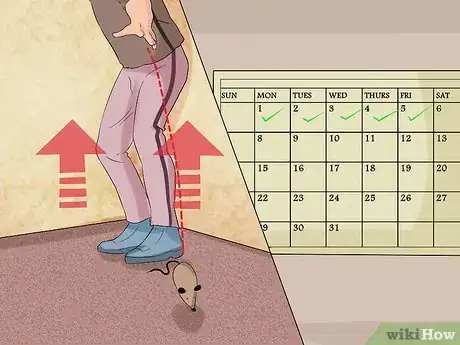Image titled Train Your Cat to Fetch a Toy Mouse Step 9