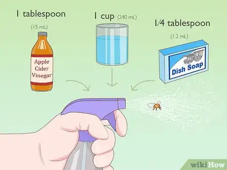 Image titled Use Home Remedies to Get Rid of Gnats Step 4