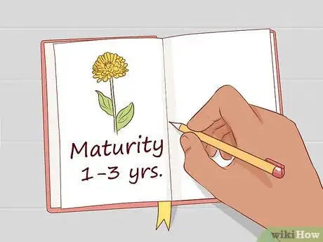 Image titled Grow Your Own Bouquet Step 1