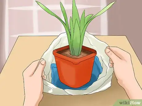 Image titled Water Plants While You're Away Step 30