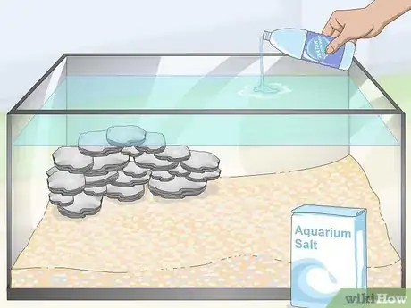 Image titled Care for Mbuna Cichlids Step 4