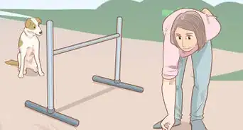 Teach Your Dog to Jump