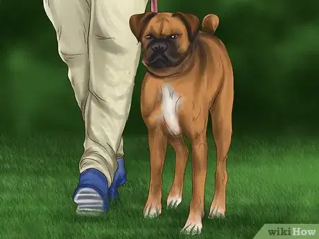 Image titled Avoid Poisoning Your Dog with Lawn Chemicals Step 9
