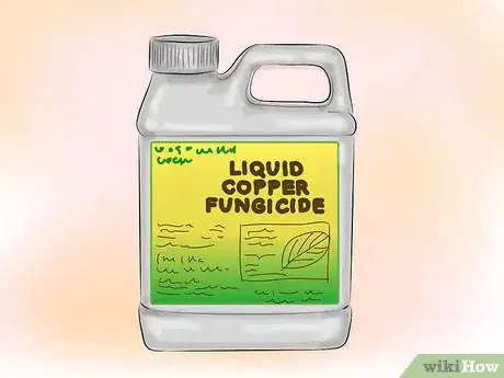 Image titled Get Rid of Downy Mildew in Your Plants Step 5