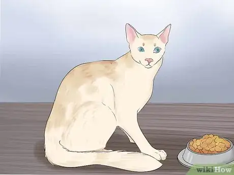 Image titled Get Your Cat to Know and Love You Step 9