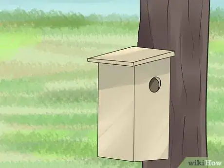 Image titled Keep Animals out of Your Attic Step 9