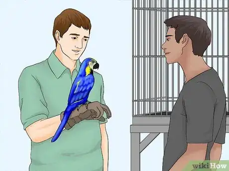 Image titled Calculate the Cost to Adopt a Parrot Step 16