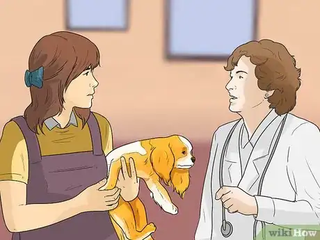 Image titled Diagnose Ear Infections in Cocker Spaniels Step 9
