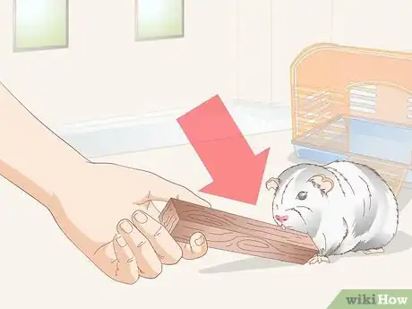 Image titled Choose Toys for a Guinea Pig Step 1
