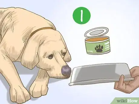 Image titled Get a Dog to Eat Step 14