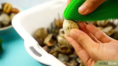 Image titled Make Beer Steamed Clams Step 1