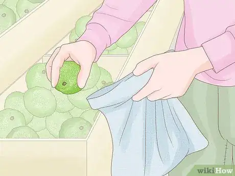 Image titled Grow Osage Oranges Step 5