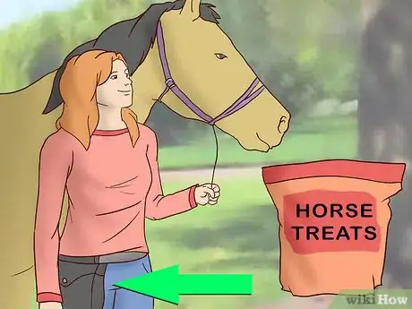 Image titled Teach a Horse to Come when Called Step 1